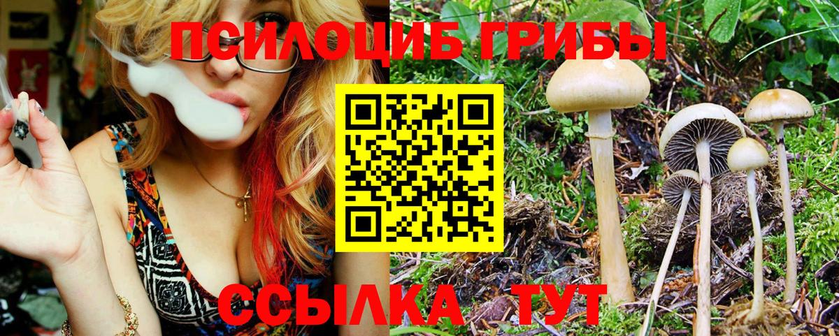 Ахтубинск  где можно купить   Вход с VPN  Псилоцибиновые грибы мухоморы 