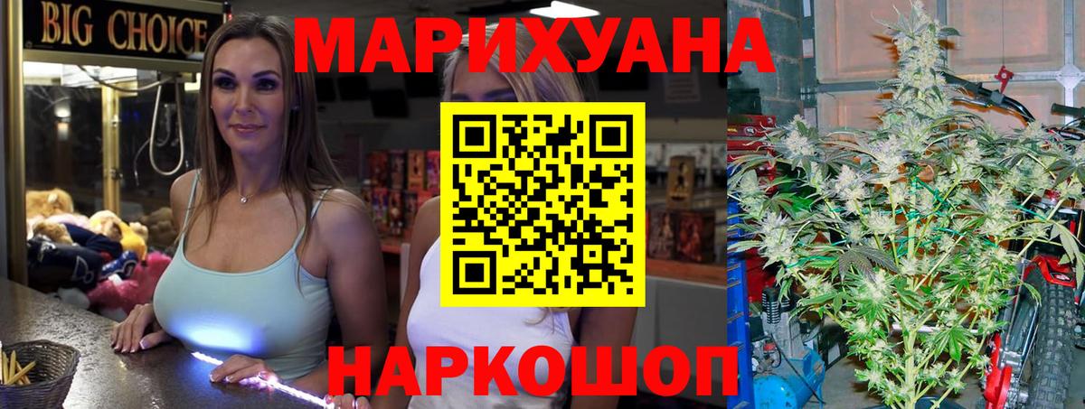 Конопля сатива Ахтубинск